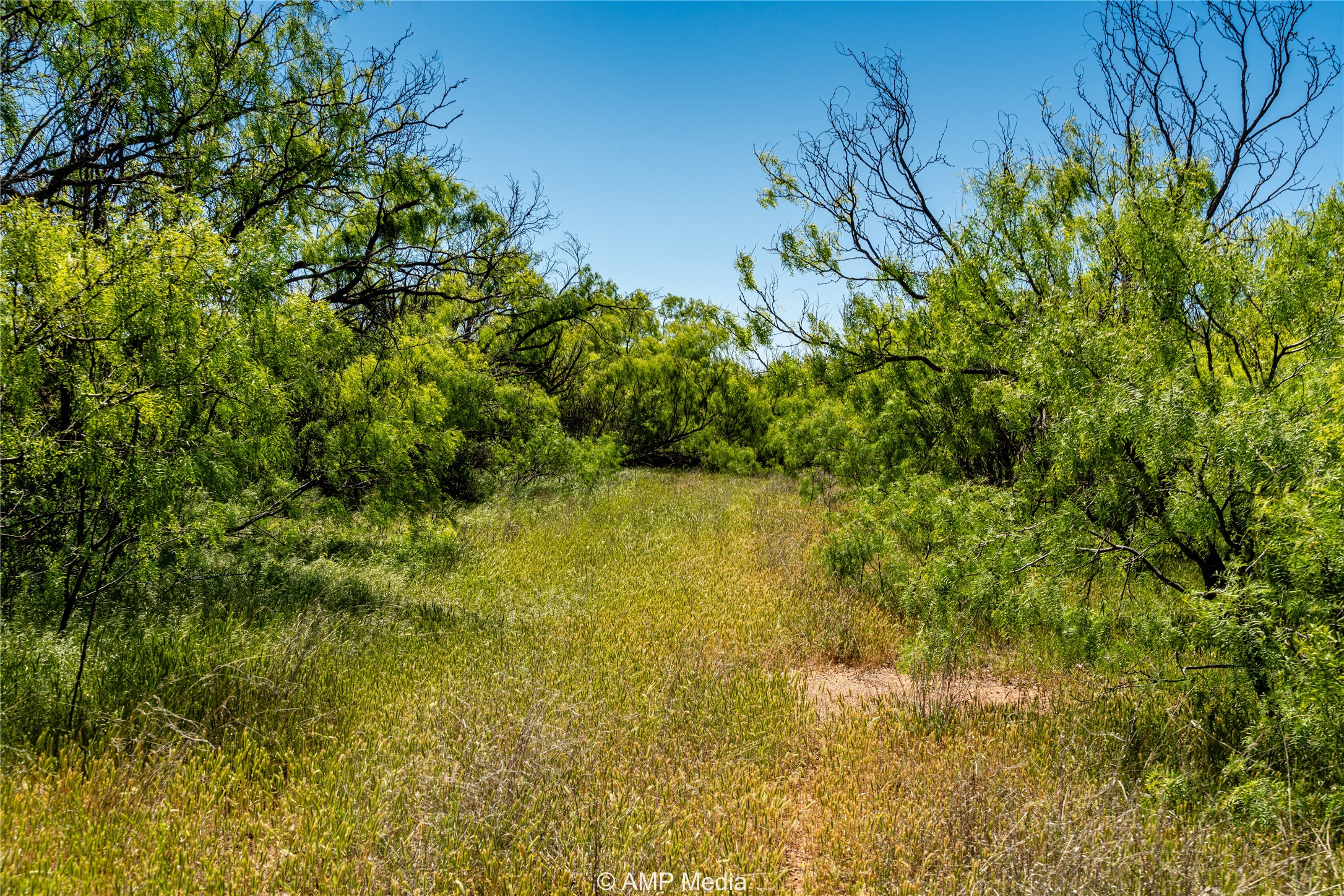 Tbd Fm 600 Haskell TX 79521
