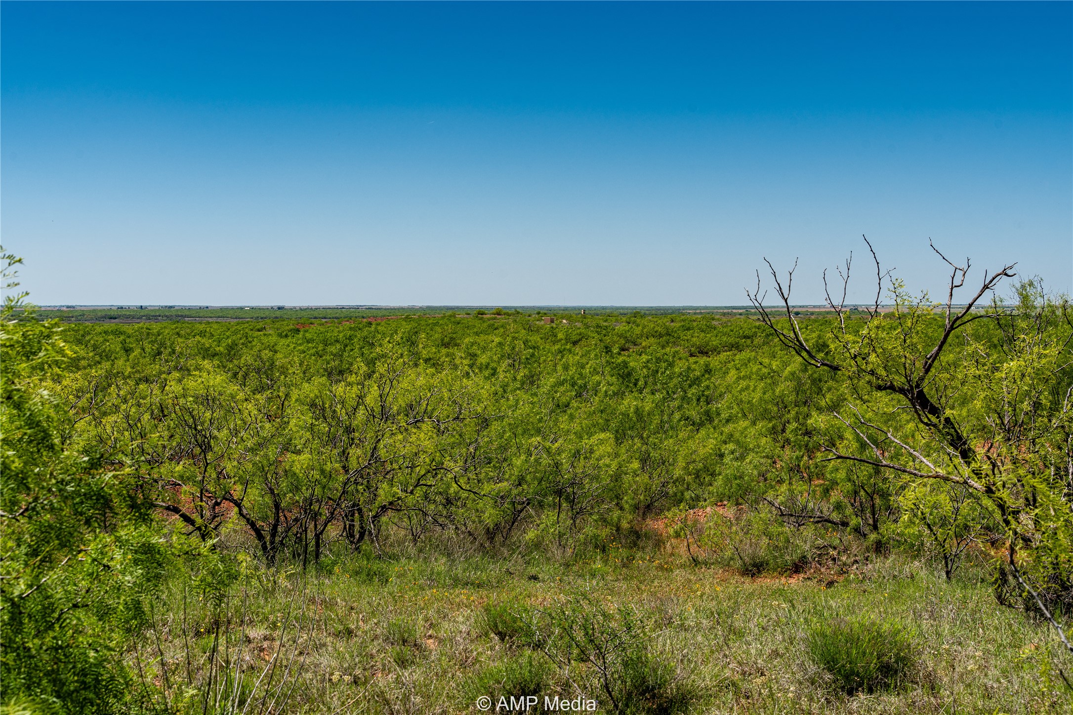 Tbd Fm 600 Haskell TX 79521