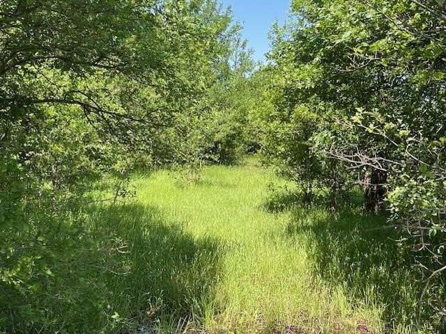 Tbd SW County Road 0021 Corsicana TX 75110