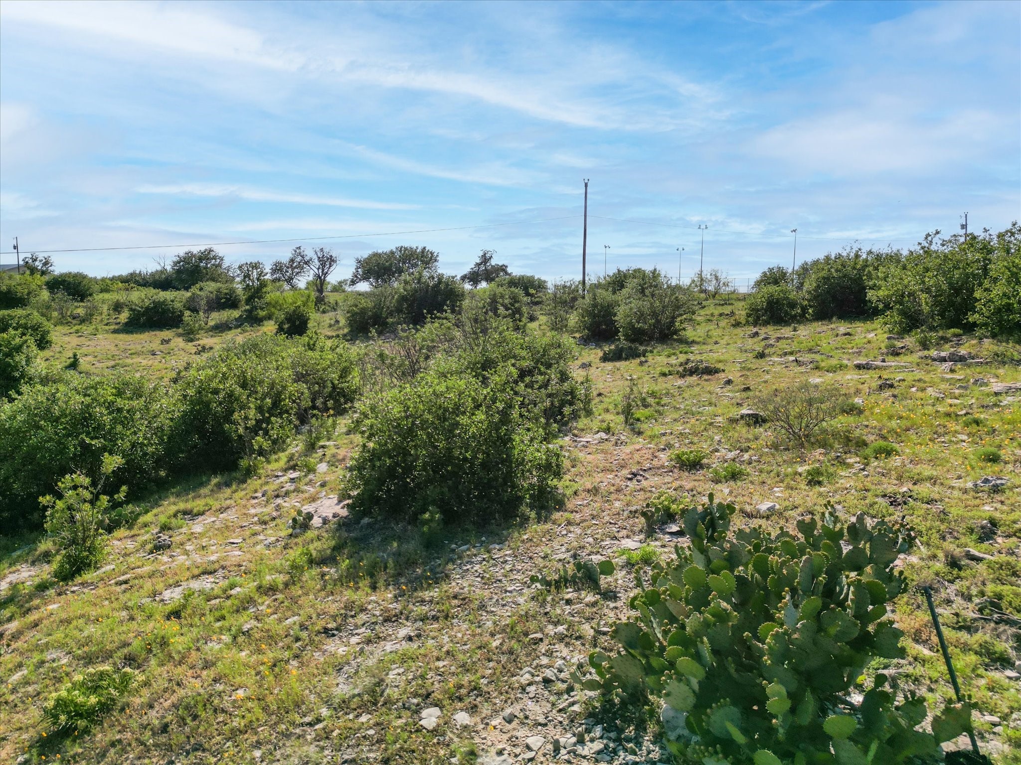 7032 Hells Gate Loop Strawn TX 76475
