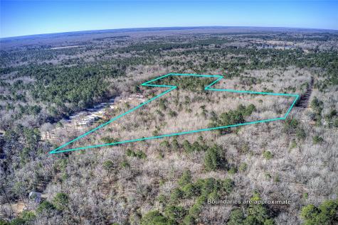 Tbd County Road 3460 Hawkins TX 75765