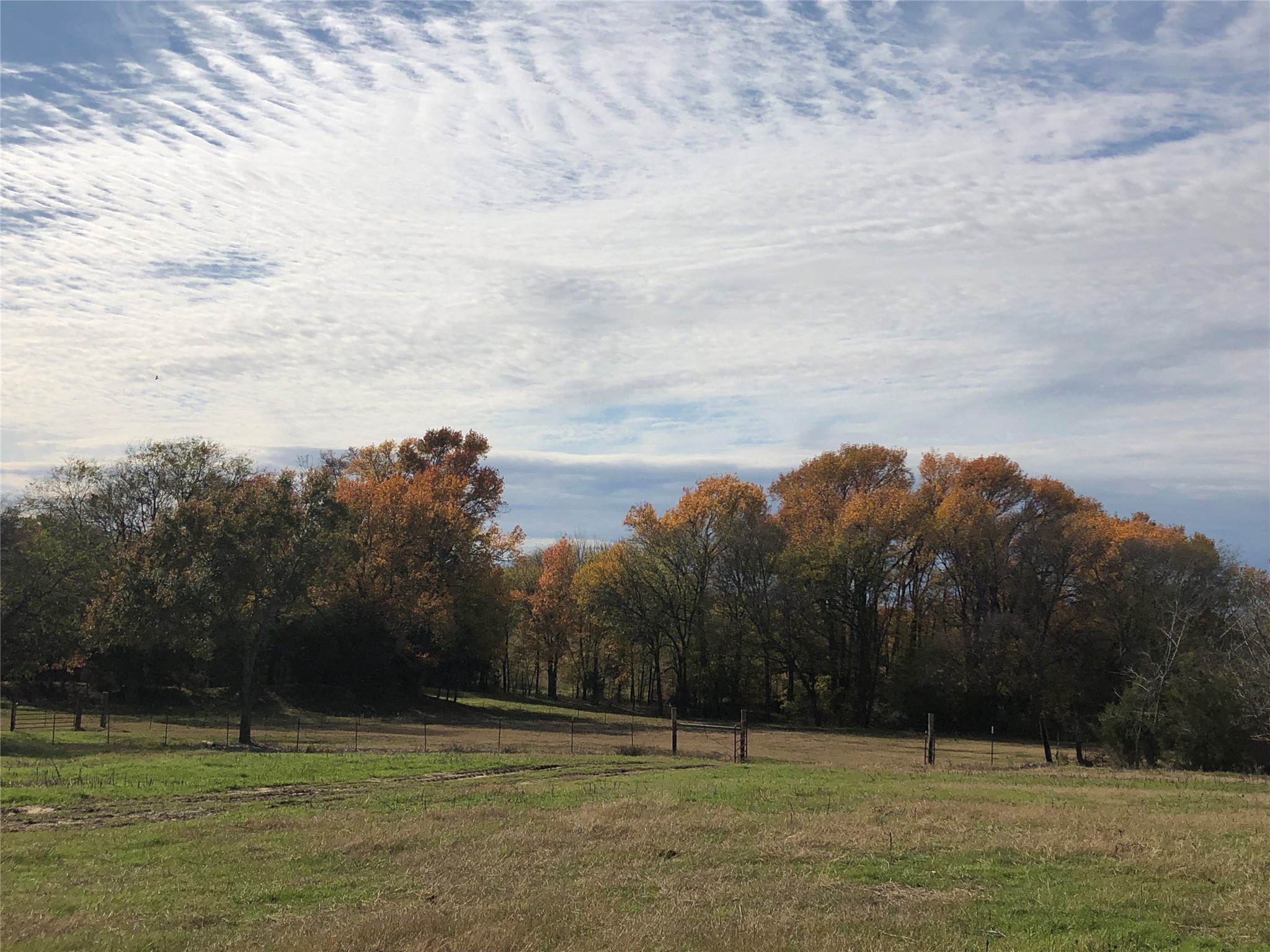 3739 W Fm 515 Como TX 75431