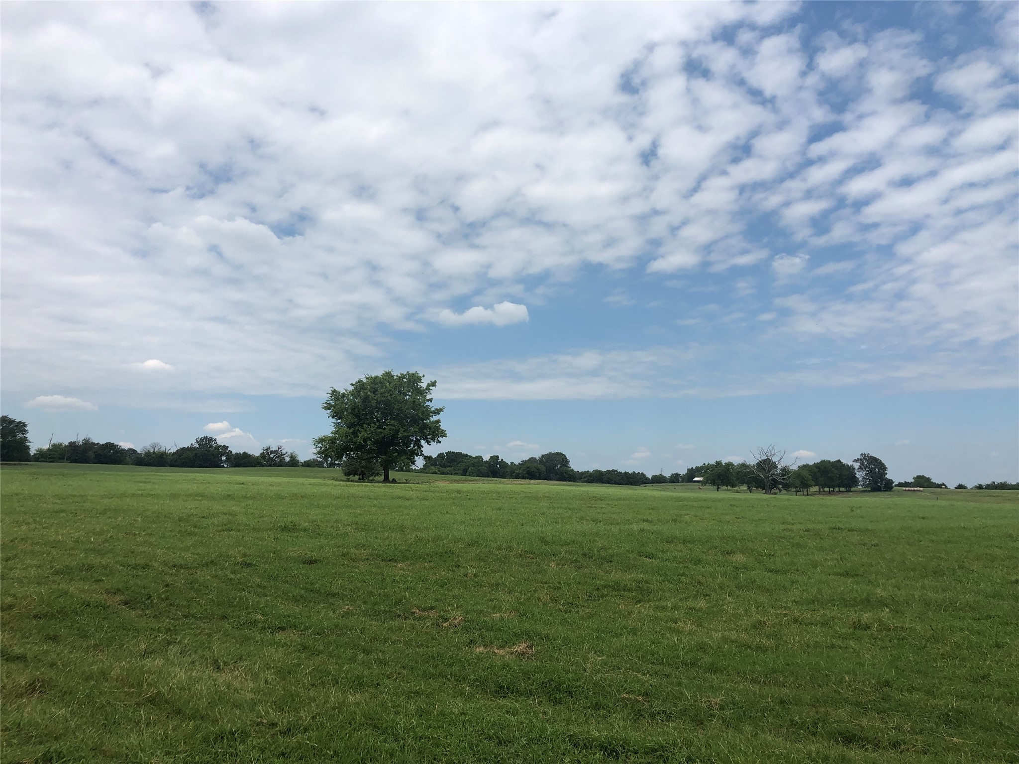 3739 W Fm 515 Como TX 75431