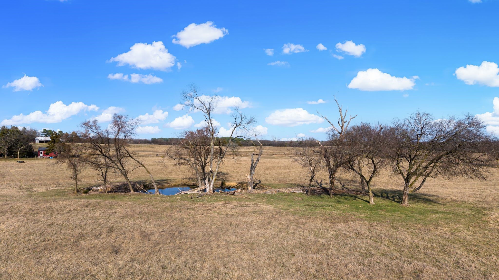 3739 W Fm 515 Como TX 75431