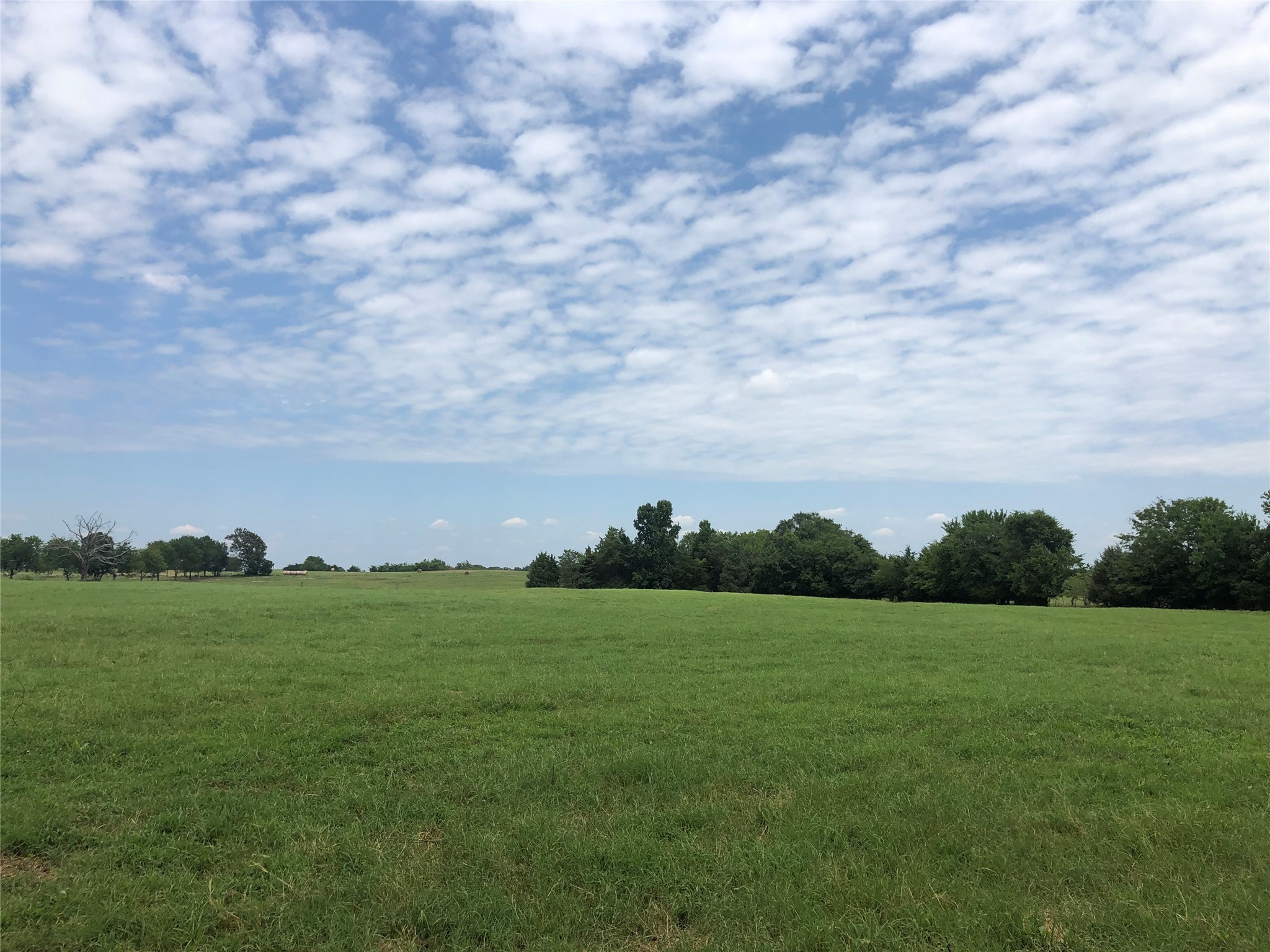 3739 W Fm 515 Como TX 75431