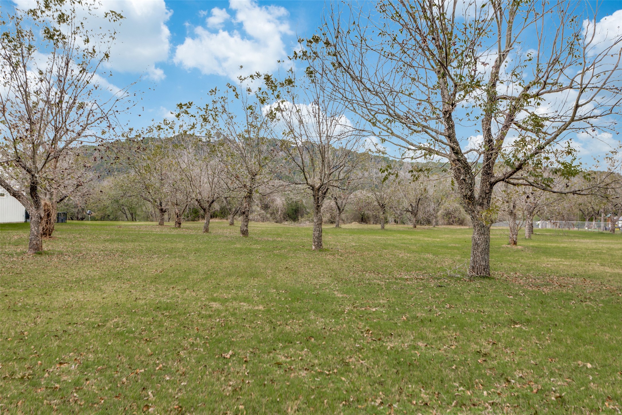 11008 Orchards Boulevard Cleburne TX 76033