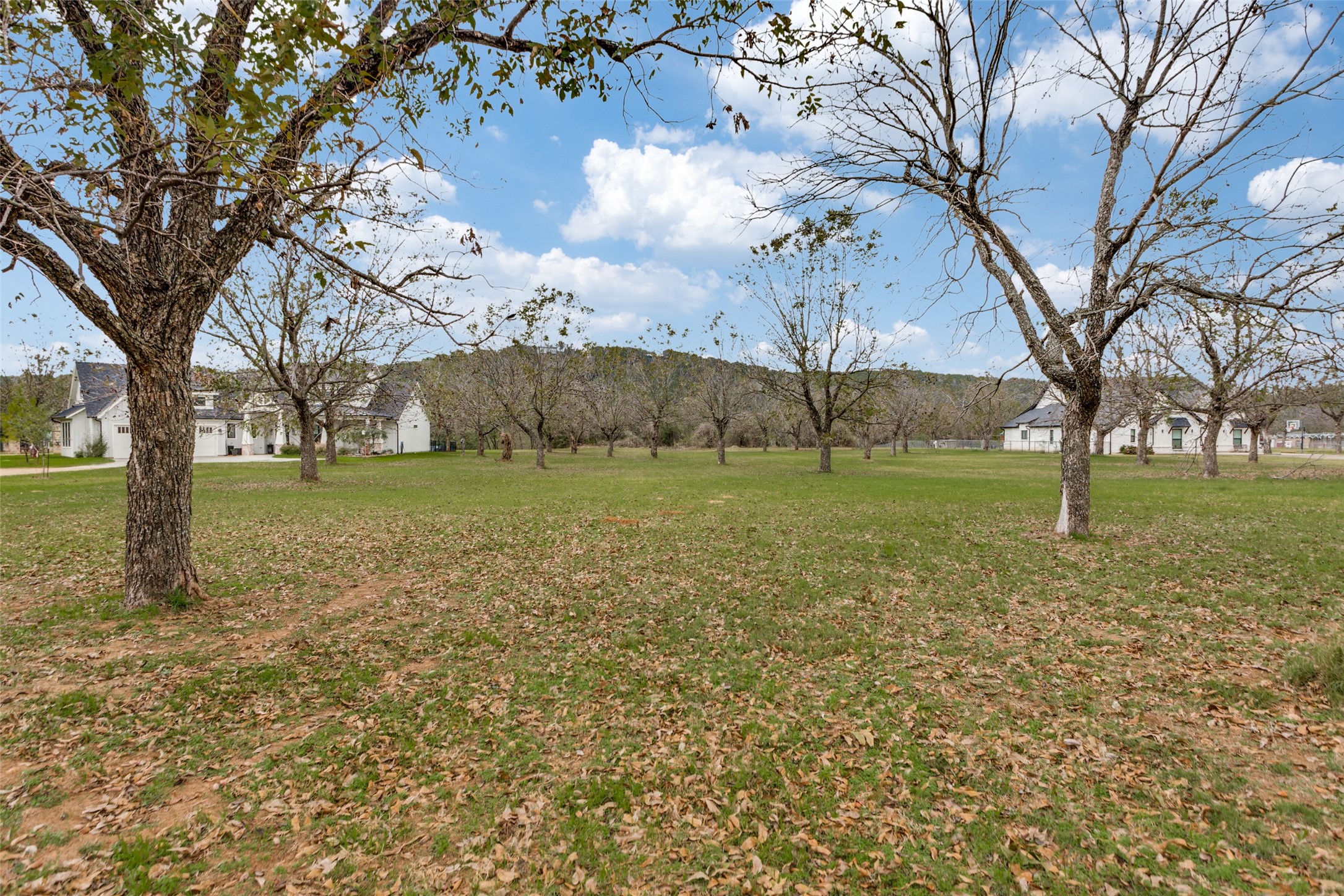 11008 Orchards Boulevard Cleburne TX 76033