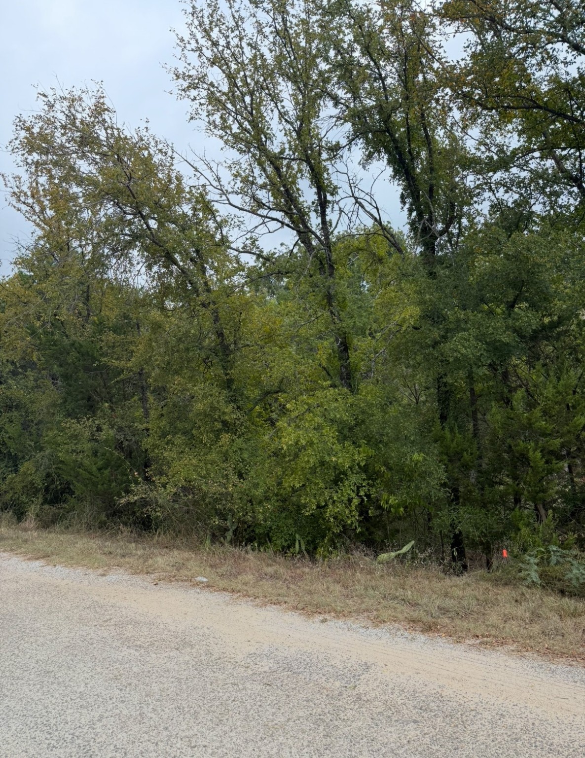 2509 White Oak Trail Granbury TX 76048