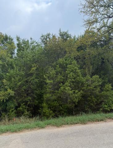2509 White Oak Trail Granbury TX 76048