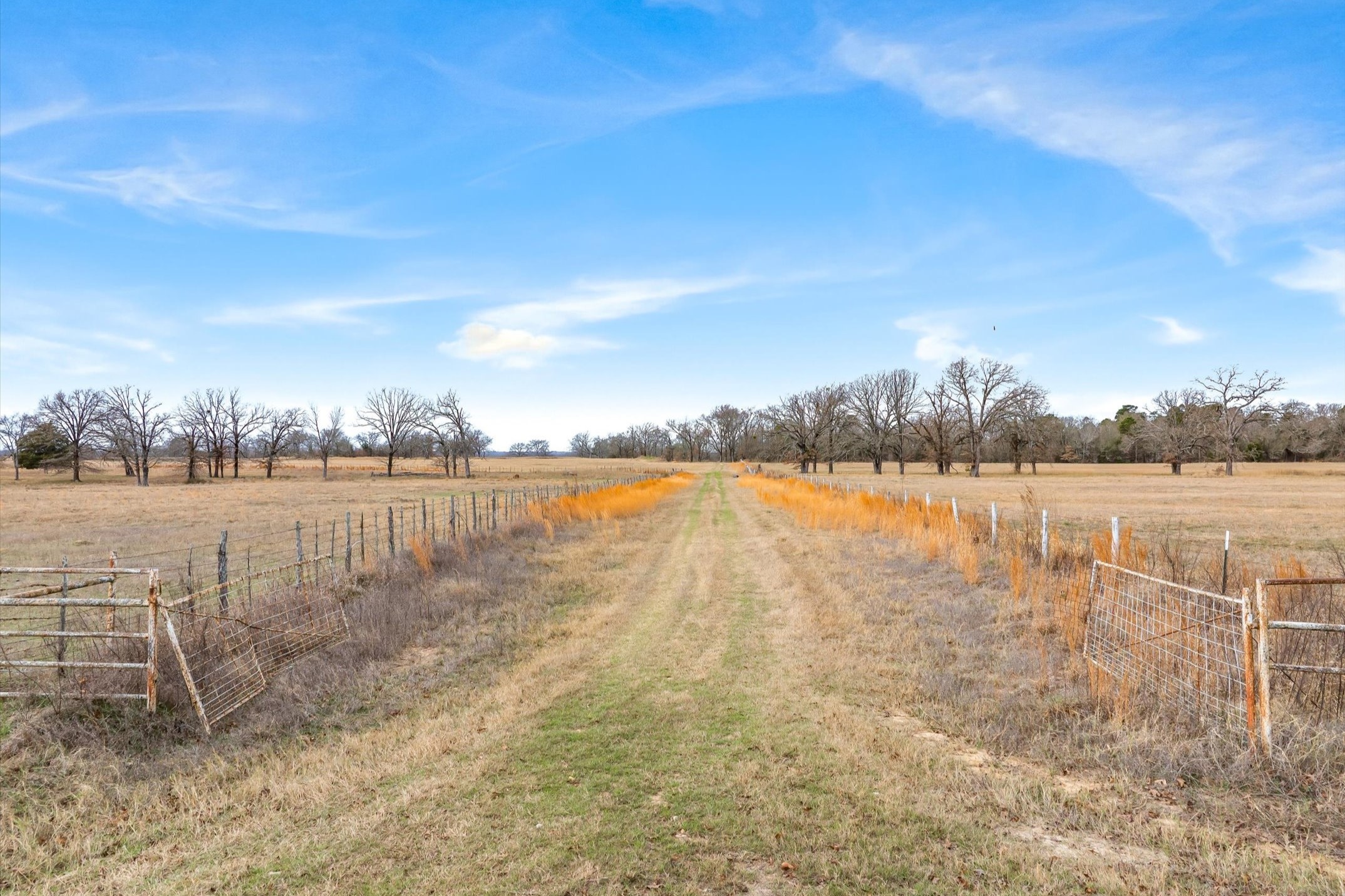 000 County Road 2918 Mineola TX 75410