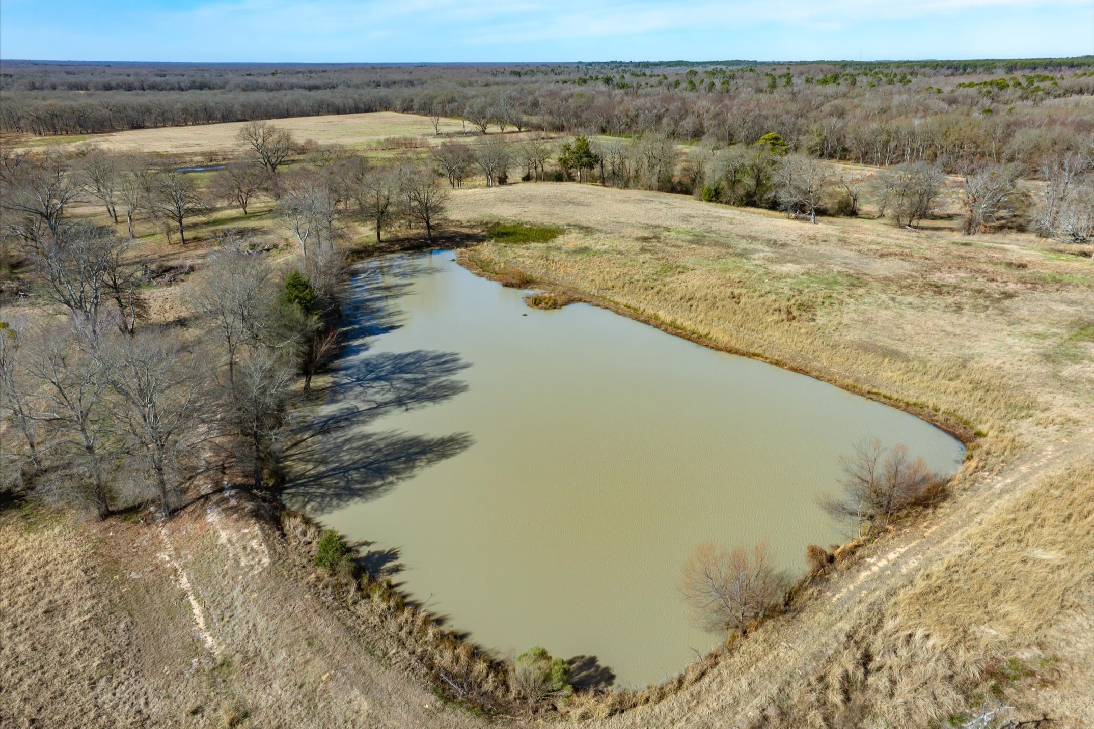 000 County Road 2918 Mineola TX 75410