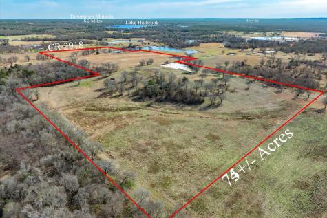 000 County Road 2918 Mineola TX 75410