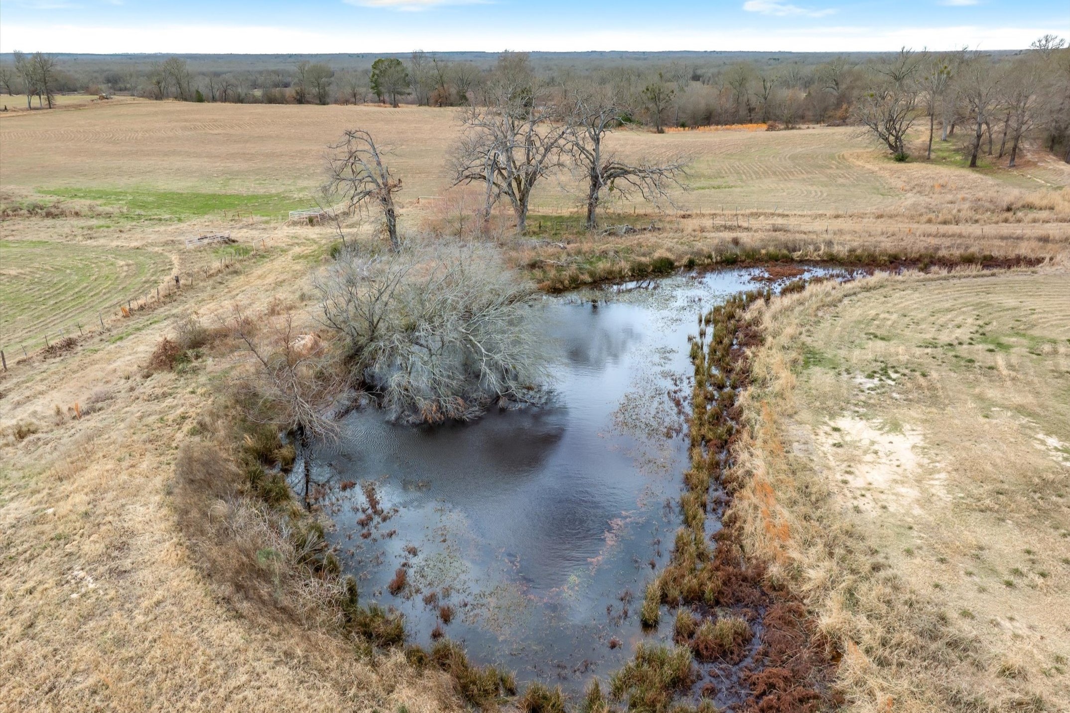 000 County Road 2918 Mineola TX 75410