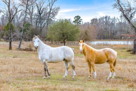 000 County Road 2918 Mineola TX 75410