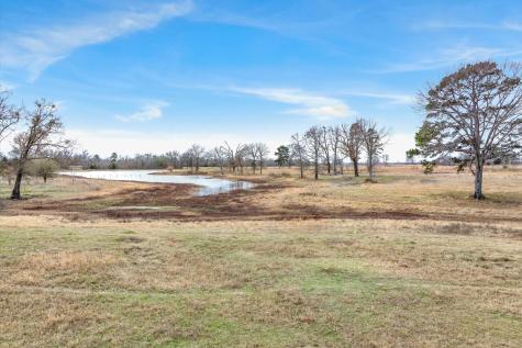 000 County Road 2918 Mineola TX 75410
