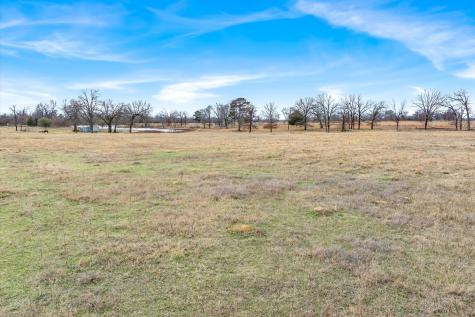 000 County Road 2918 Mineola TX 75410