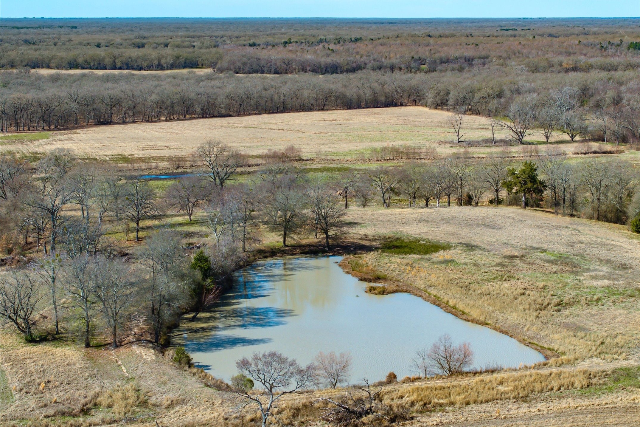 000 County Road 2918 Mineola TX 75410