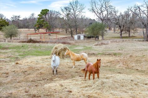 000 County Road 2918 Mineola TX 75410