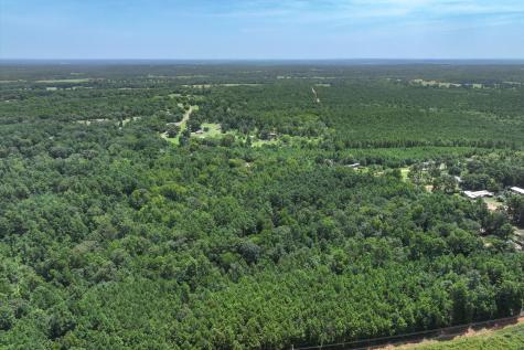 Tract 3 County Road 4102 Jacksonville TX 75766