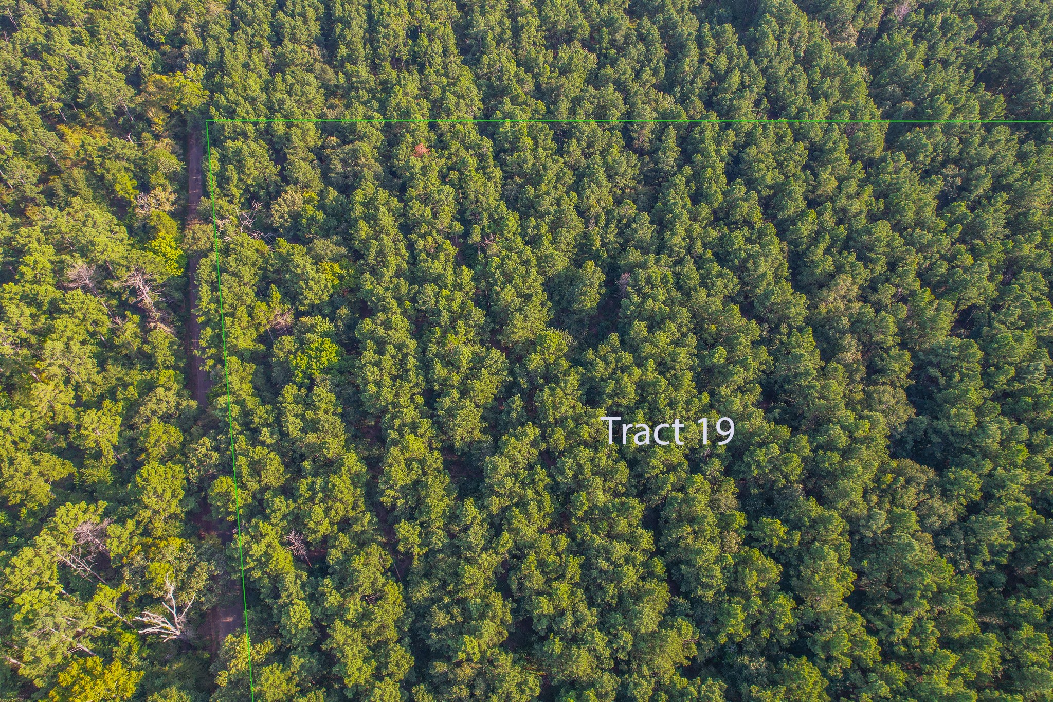 Tract 19 County Road 4224 Frankston TX 75763
