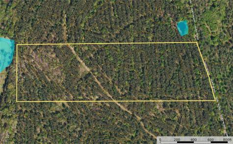 Tract 19 County Road 4224 Frankston TX 75763
