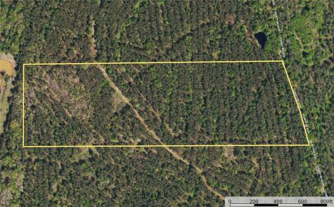 Tract 19 County Road 4224 Frankston TX 75763