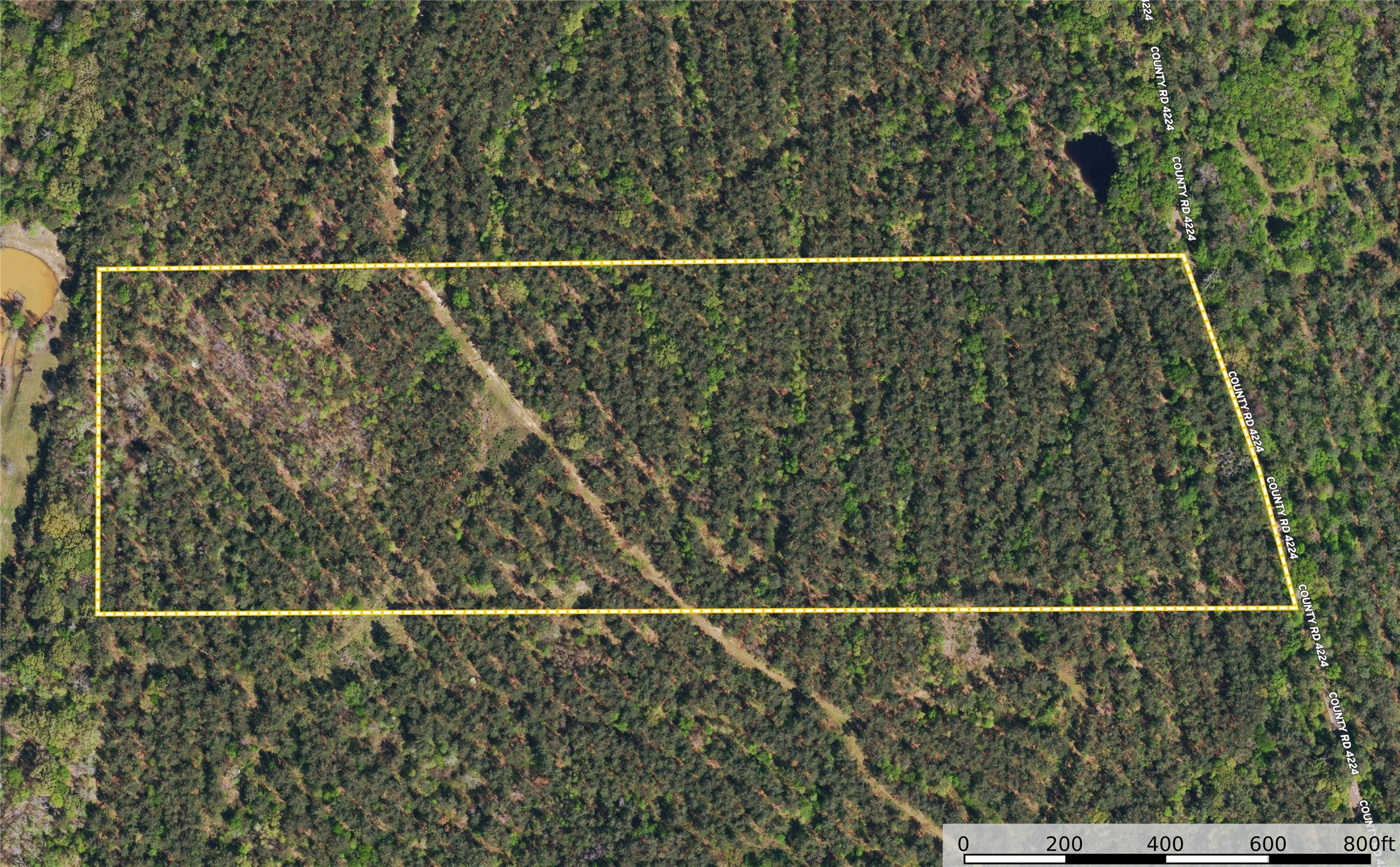 Tract 19 County Road 4224 Frankston TX 75763