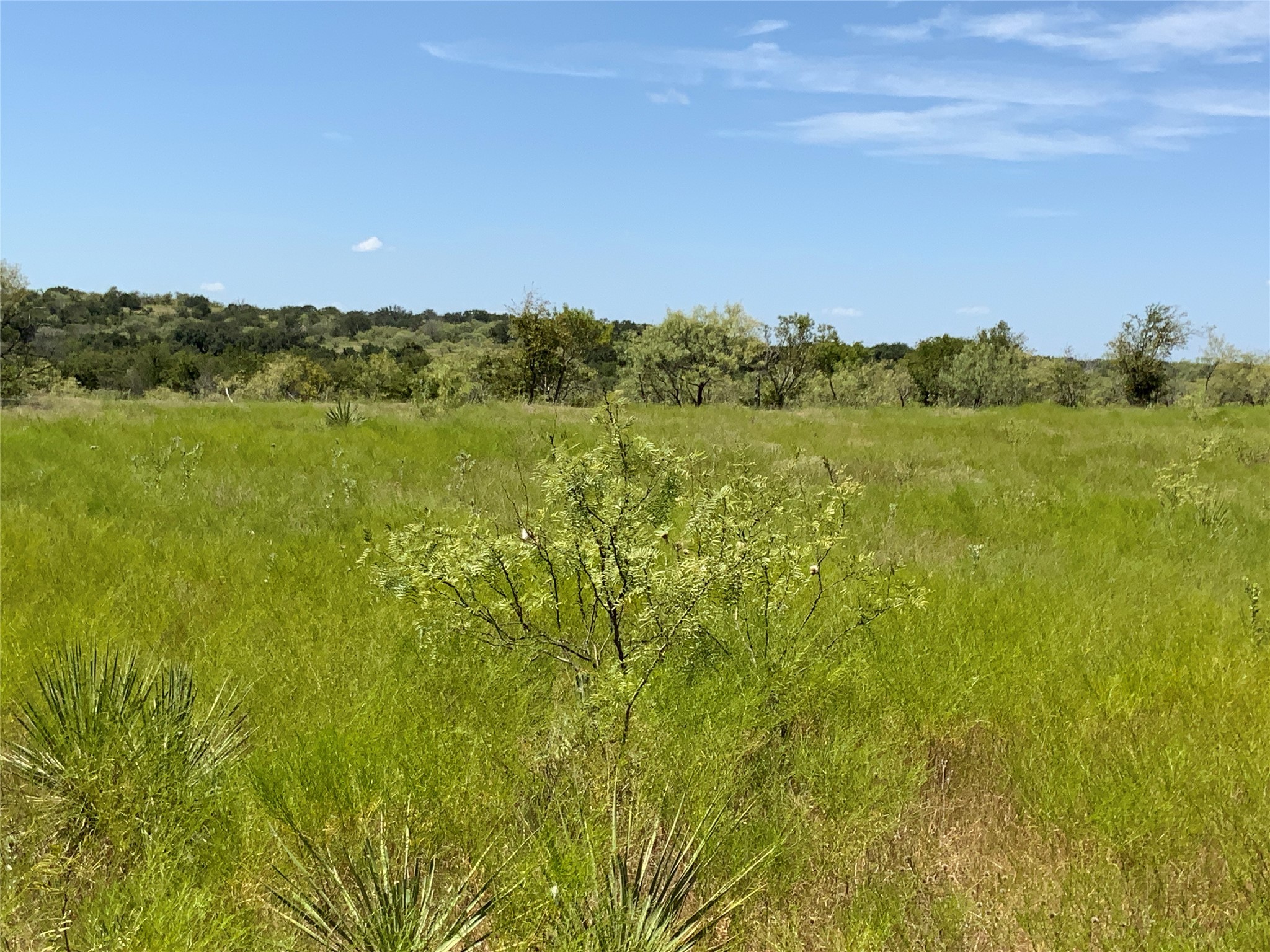Tbd Fm-2486 Gustine TX 76455