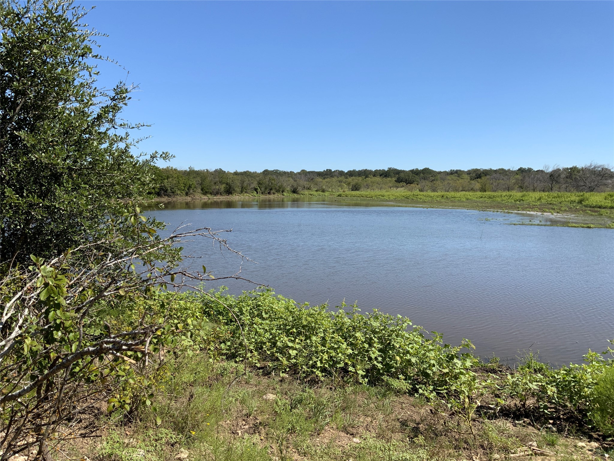 Tbd Fm-2486 Gustine TX 76455
