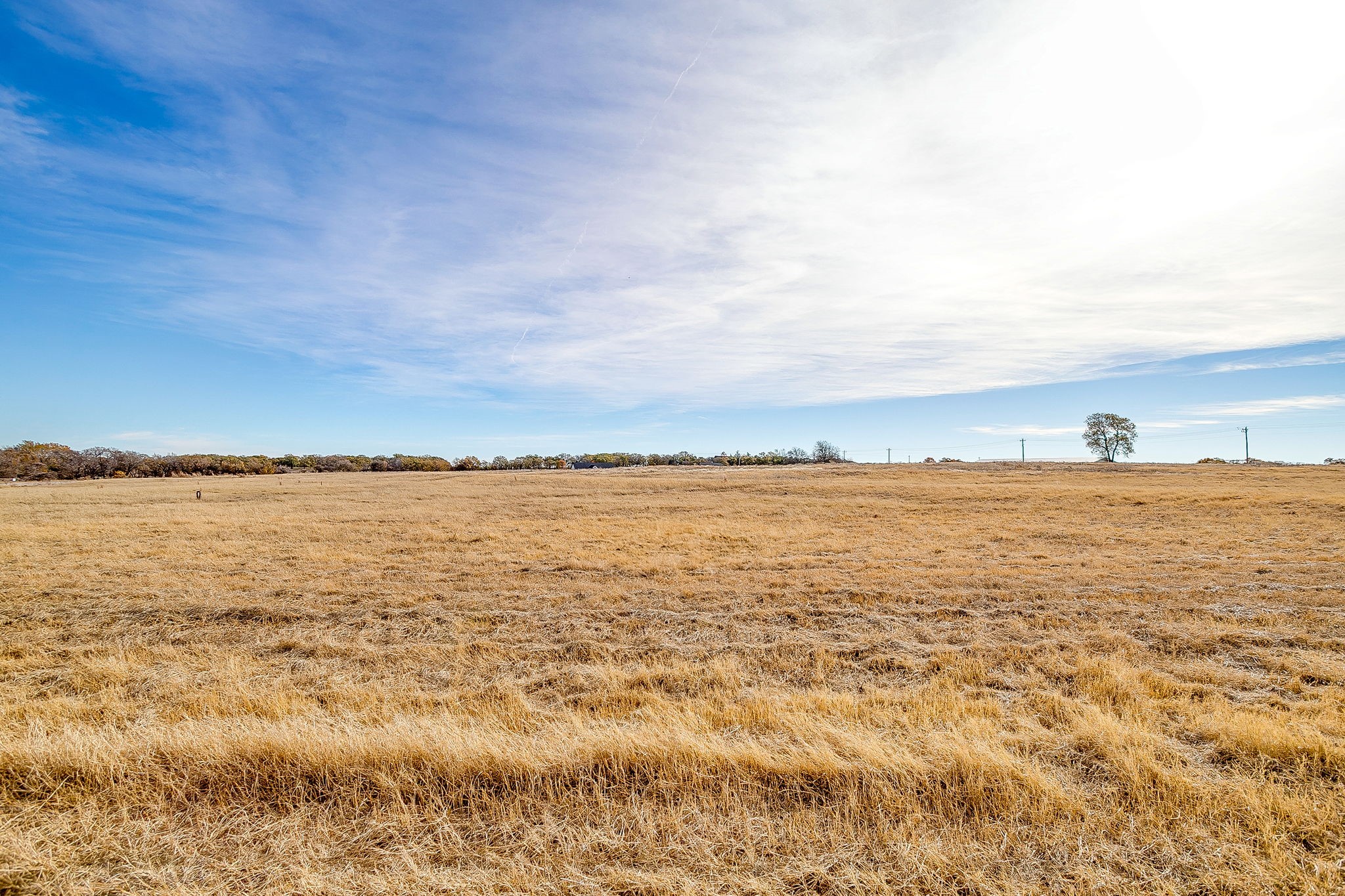 227 Sweetgrass Drive Poolville TX 76487