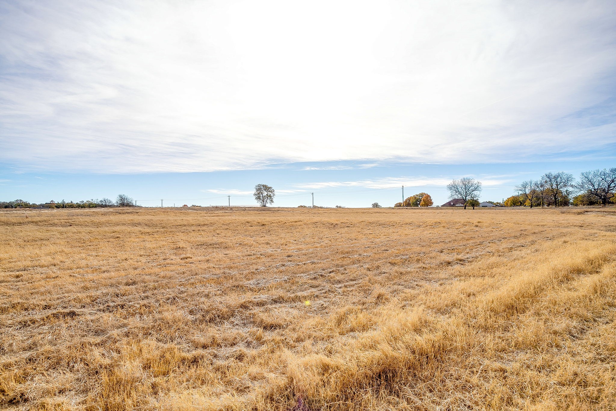 227 Sweetgrass Drive Poolville TX 76487
