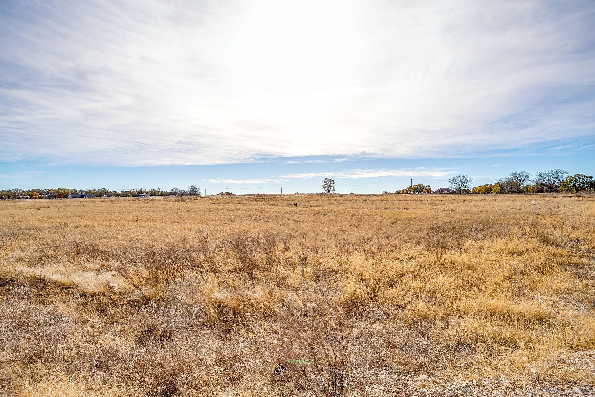 227 Sweetgrass Drive Poolville TX 76487