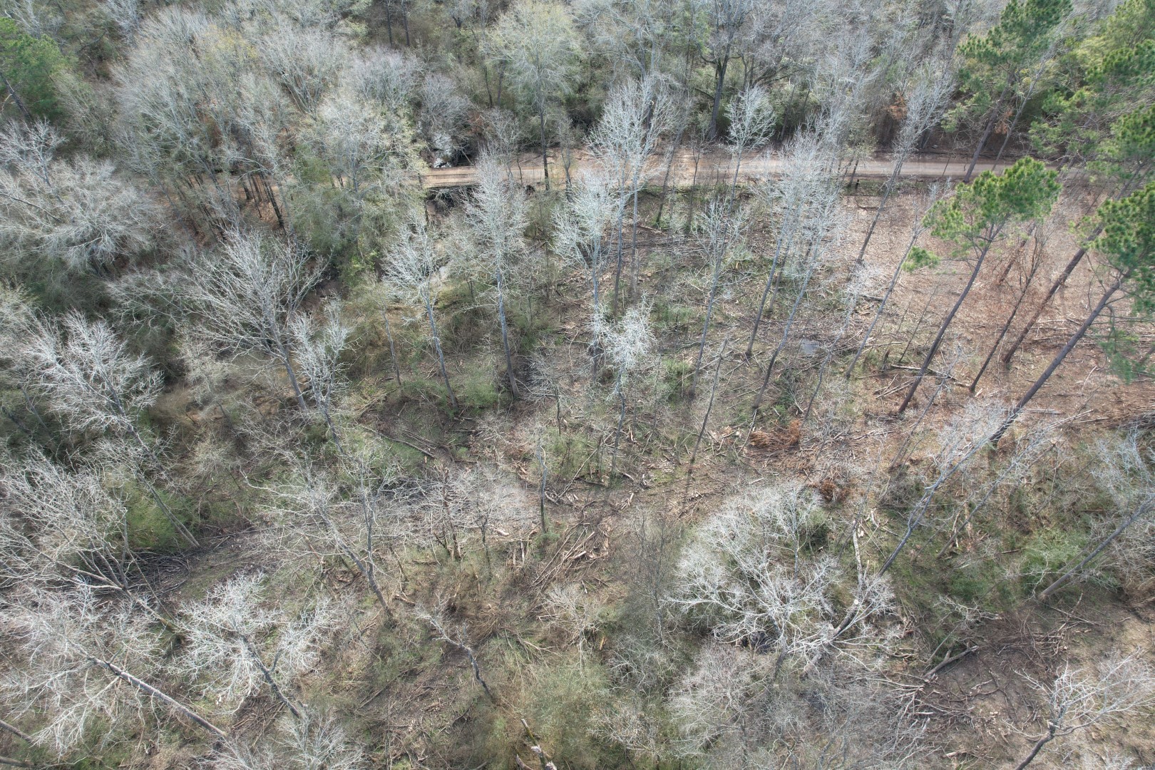 Tract B County Road 4037 Timpson TX 75975