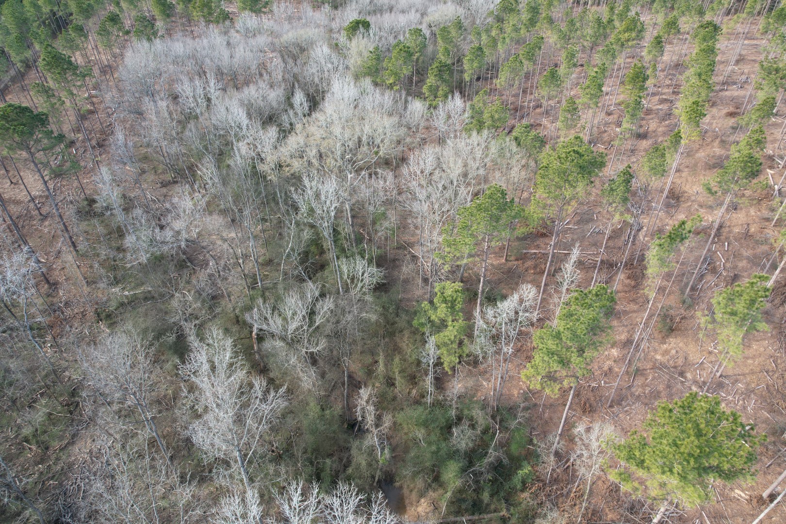 Tract B County Road 4037 Timpson TX 75975