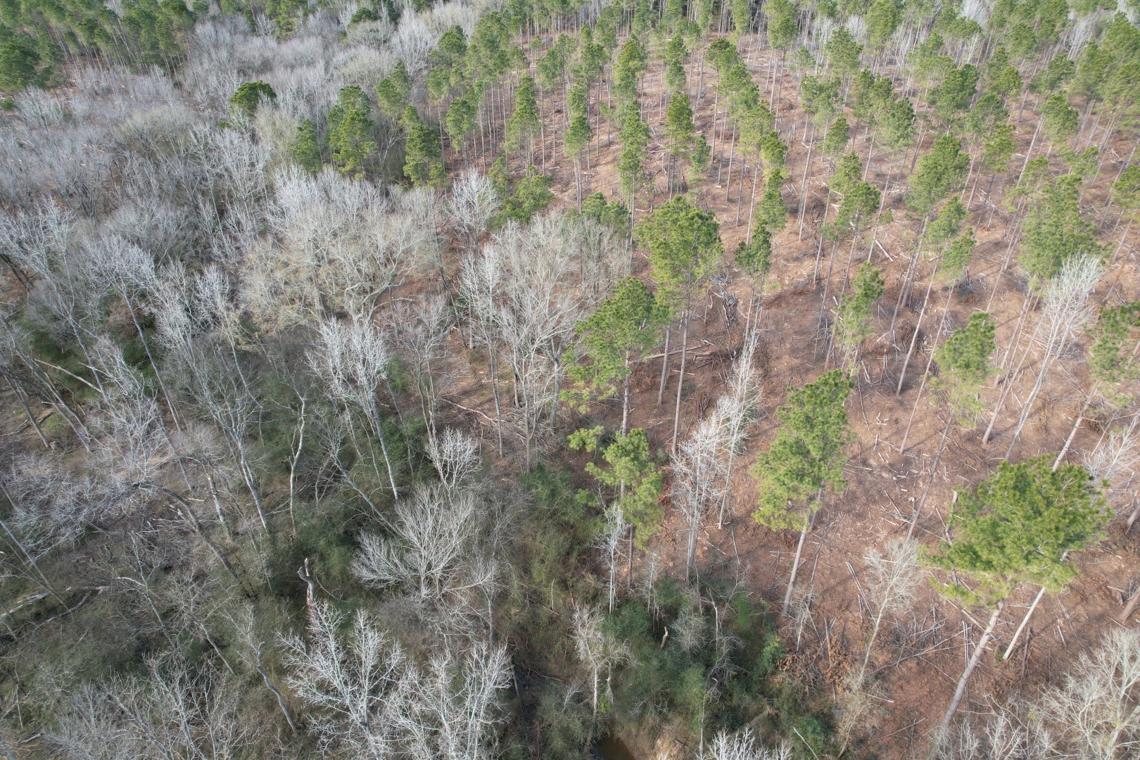 Tract B County Road 4037 Timpson TX 75975