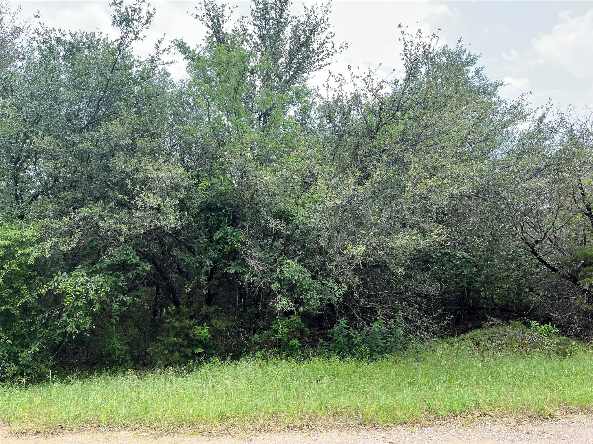 18037 Southhill Drive Whitney TX 76692