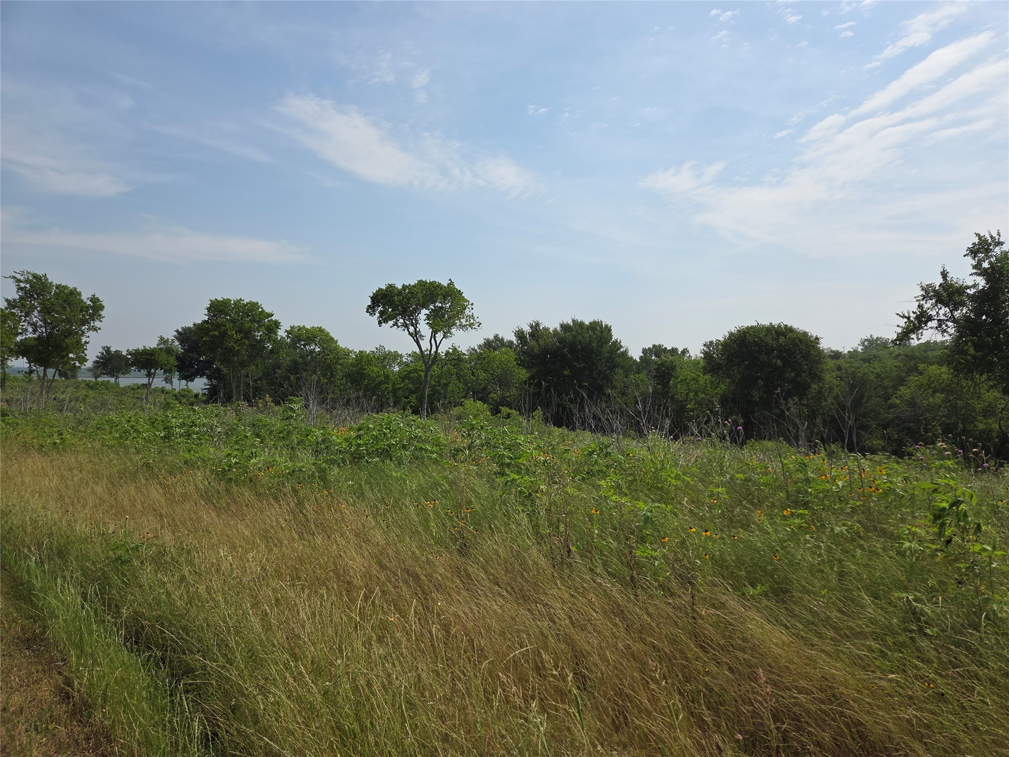 Lot 80 & Bl # 16 Shoreside Drive Corsicana TX 75109