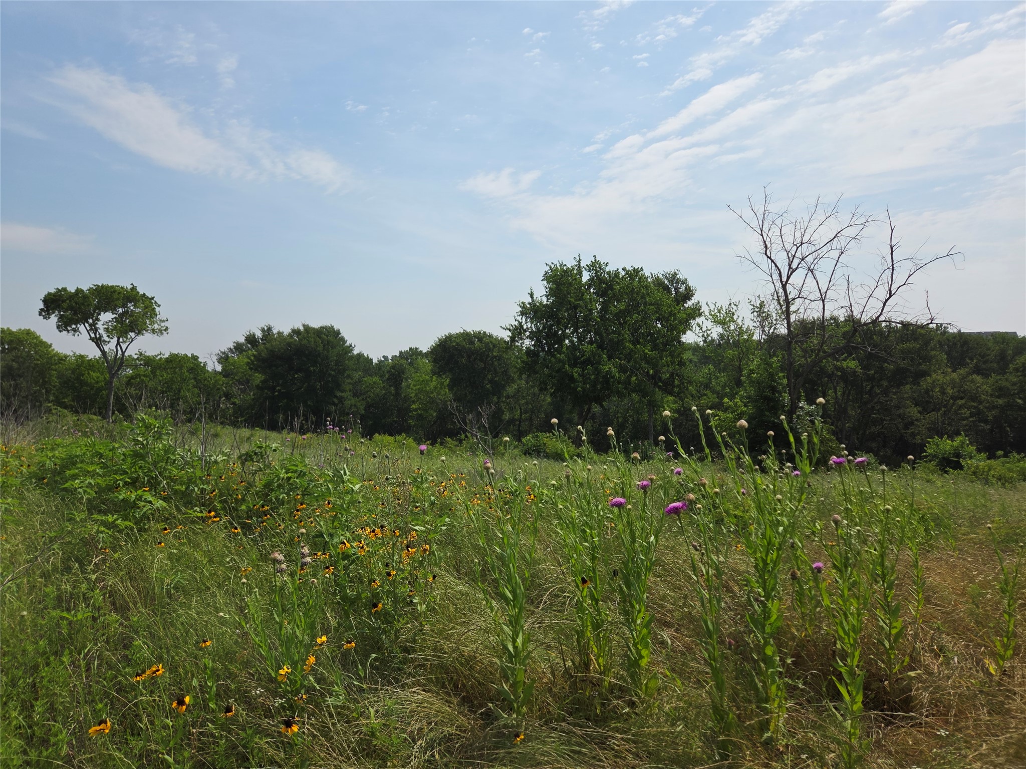 Lot 80 & Bl # 16 Shoreside Drive Corsicana TX 75109