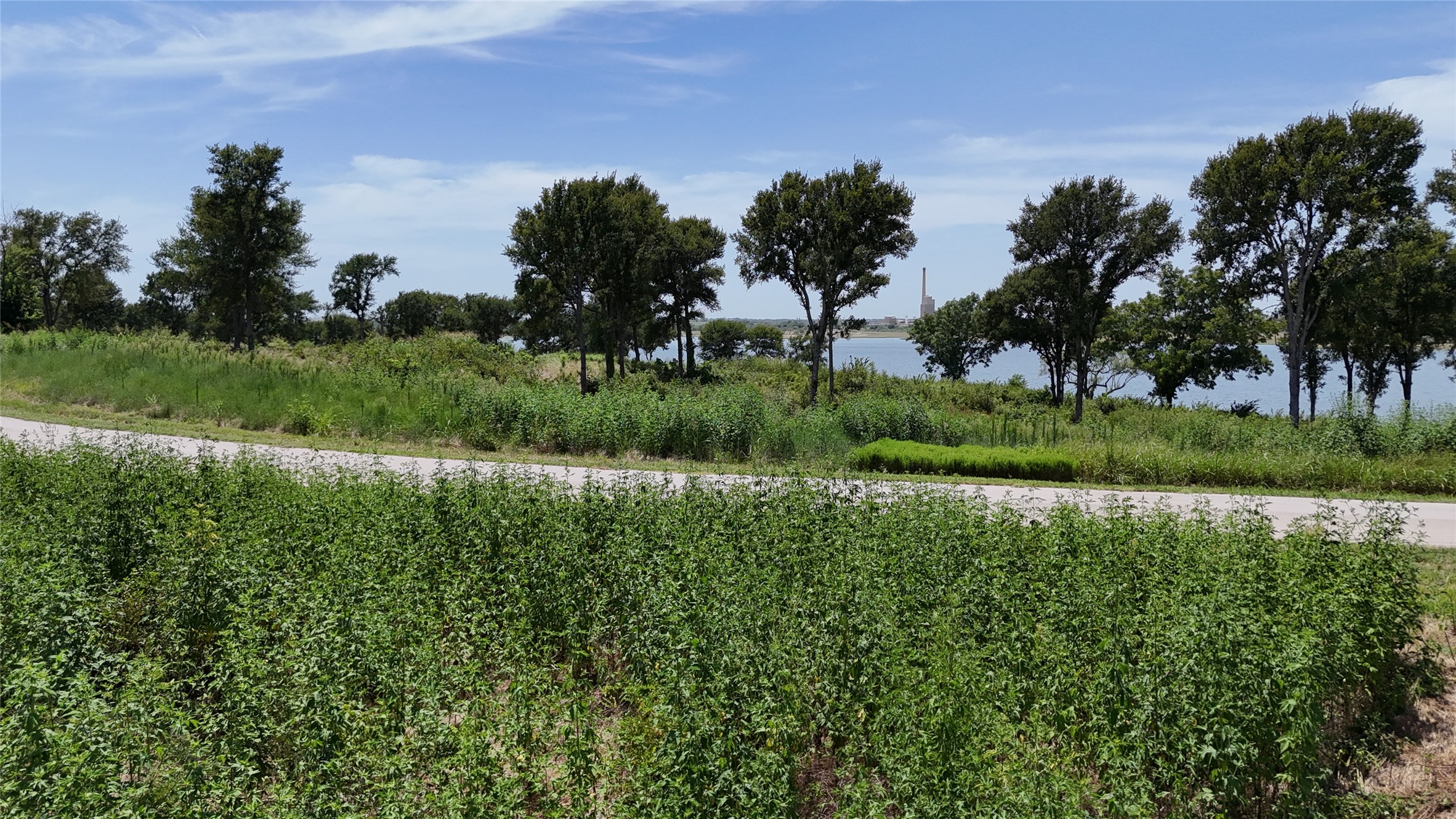 Lot 80 & Bl # 16 Shoreside Drive Corsicana TX 75109