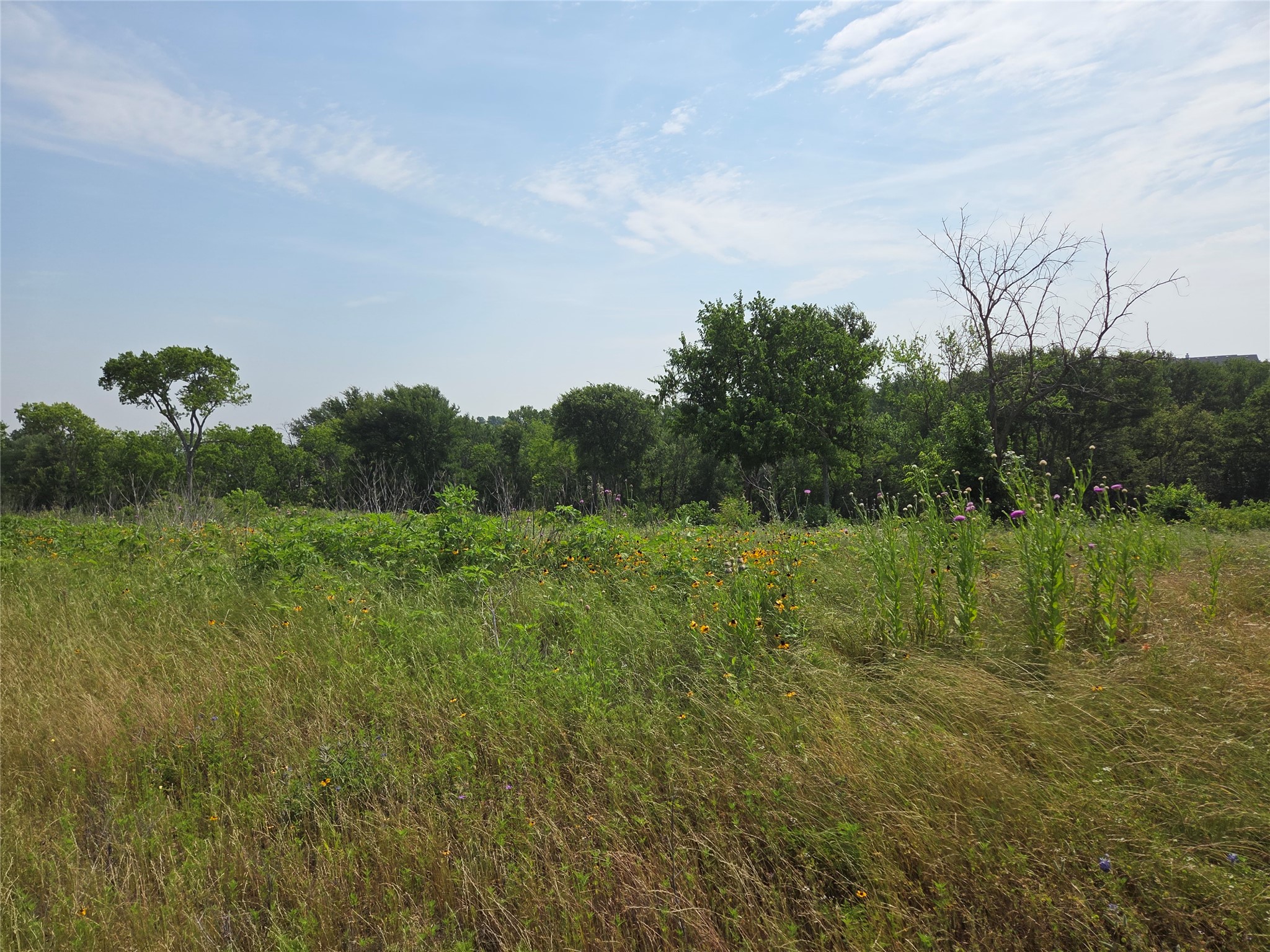 Lot 80 & Bl # 16 Shoreside Drive Corsicana TX 75109