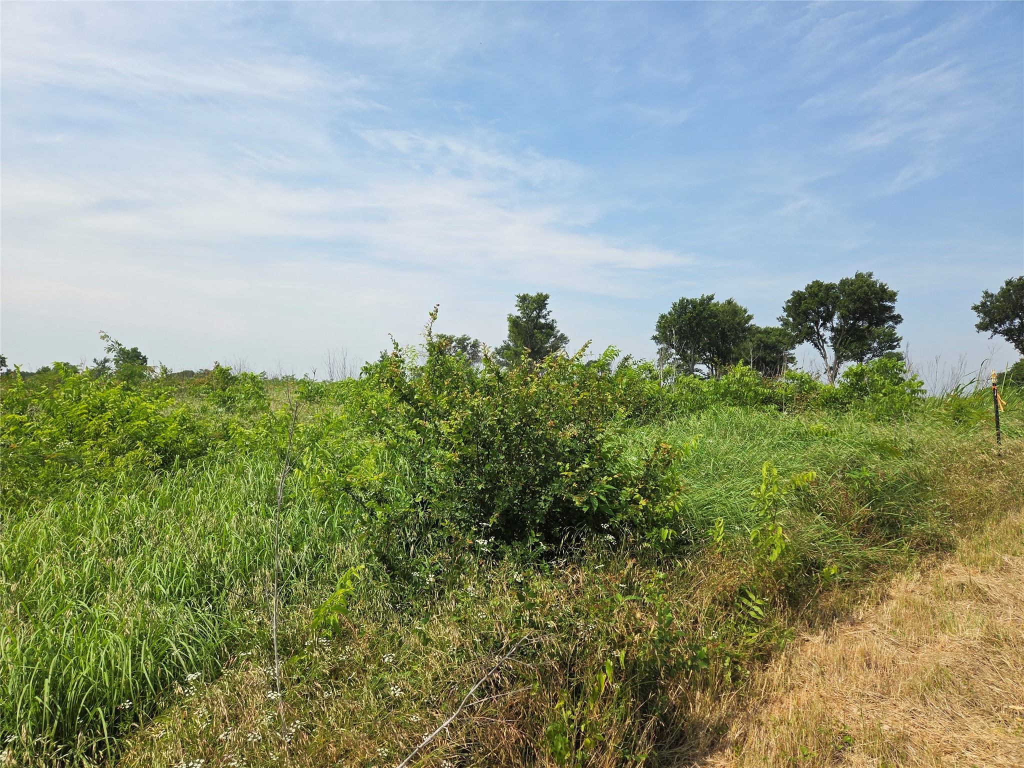 Lot 80 & Bl # 16 Shoreside Drive Corsicana TX 75109