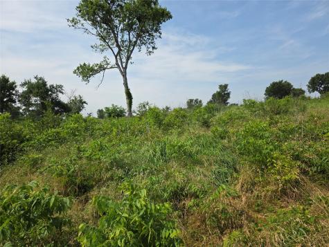 Lot 80 & Bl # 16 Shoreside Drive Corsicana TX 75109