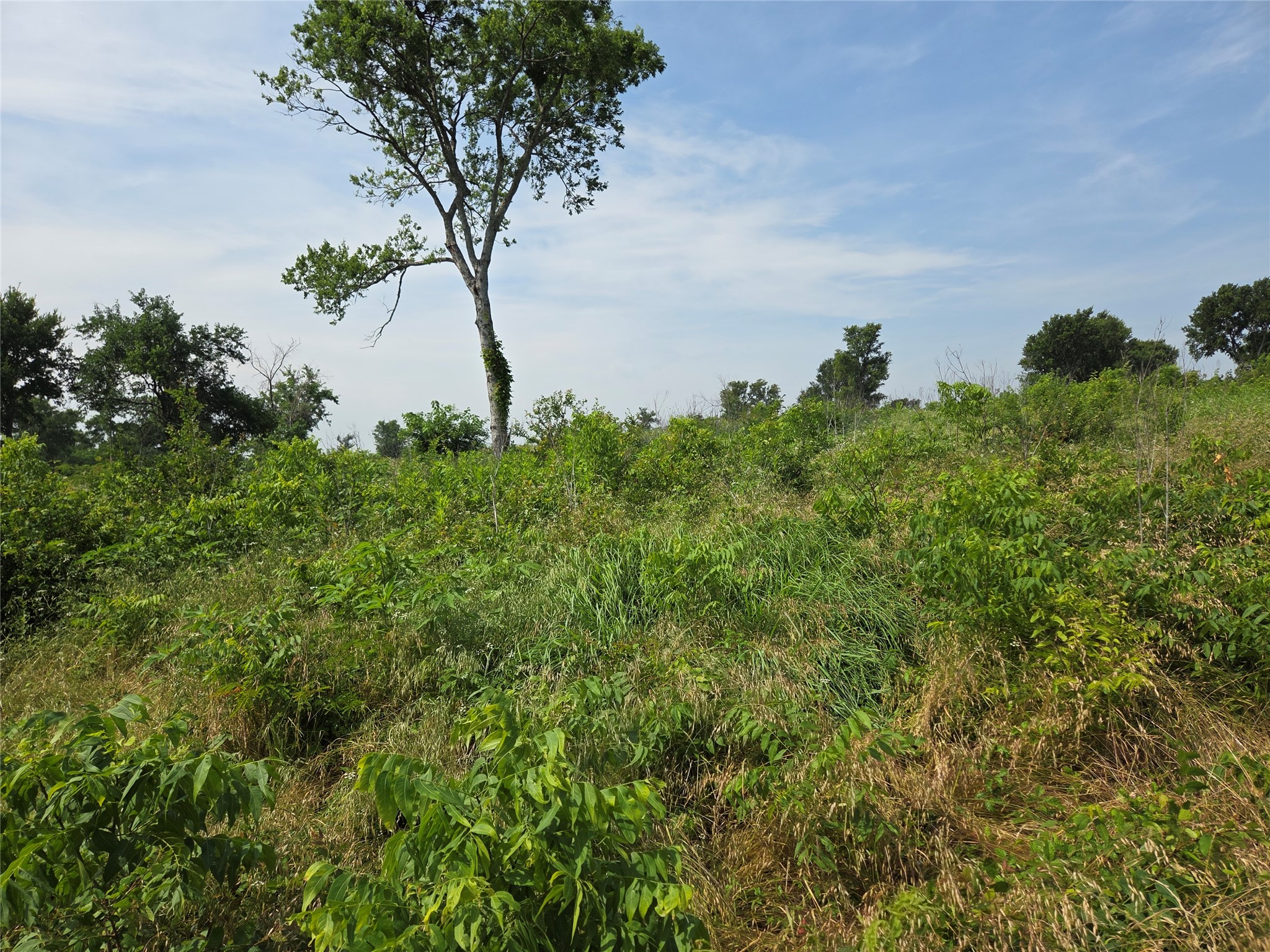 Lot 80 & Bl # 16 Shoreside Drive Corsicana TX 75109