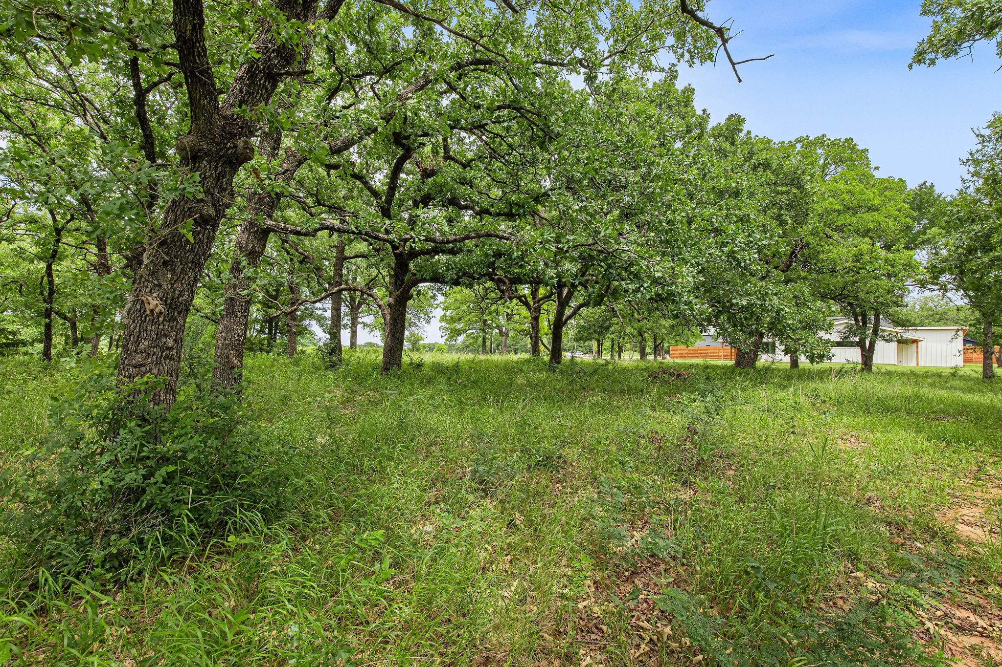1999 Sunflower Road Paradise TX 76073