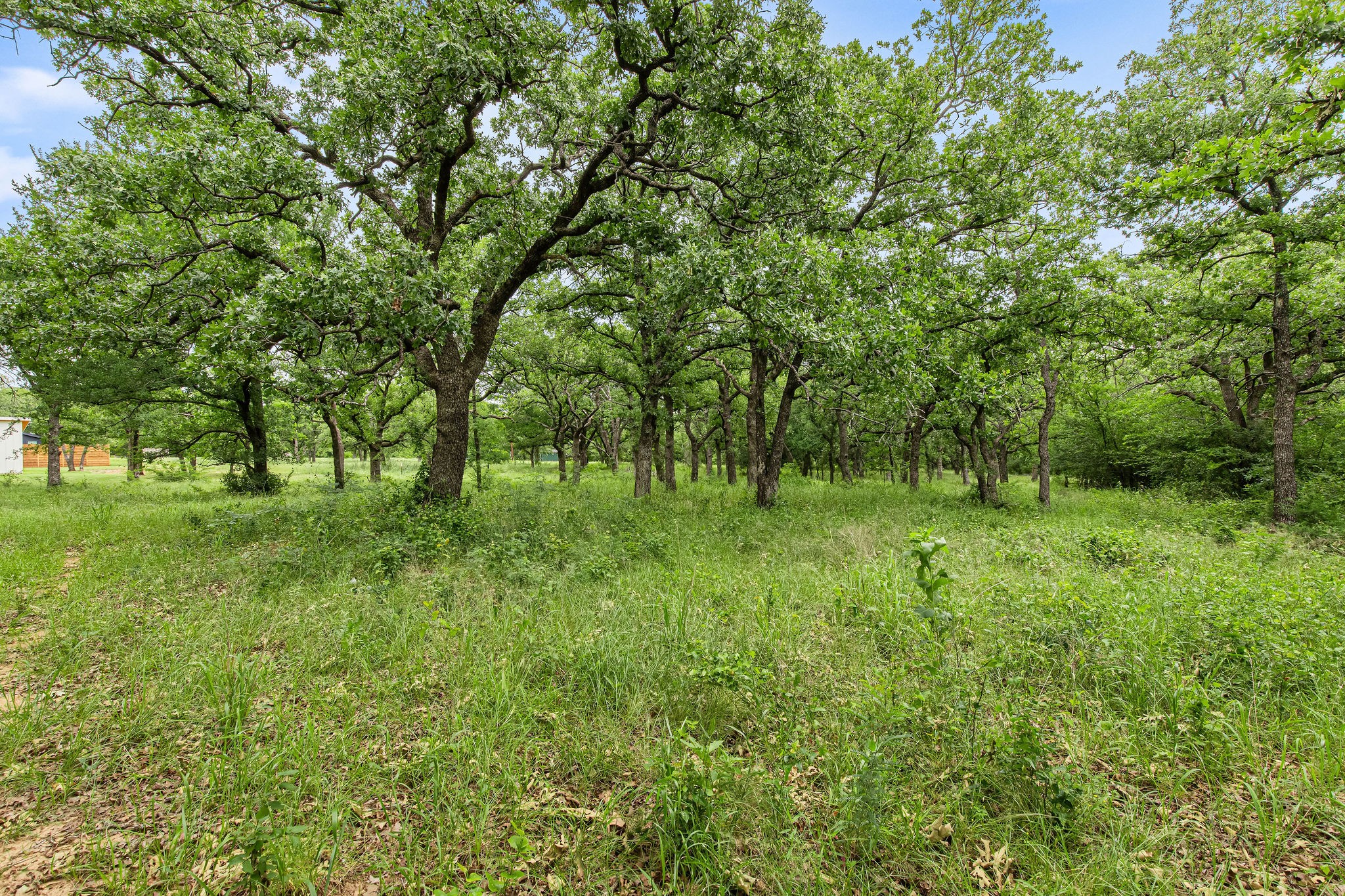 1999 Sunflower Road Paradise TX 76073