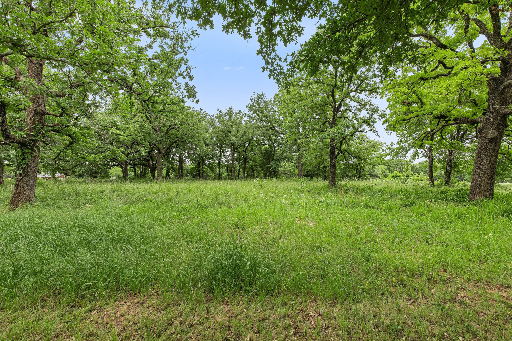 1999 Sunflower Road Paradise TX 76073