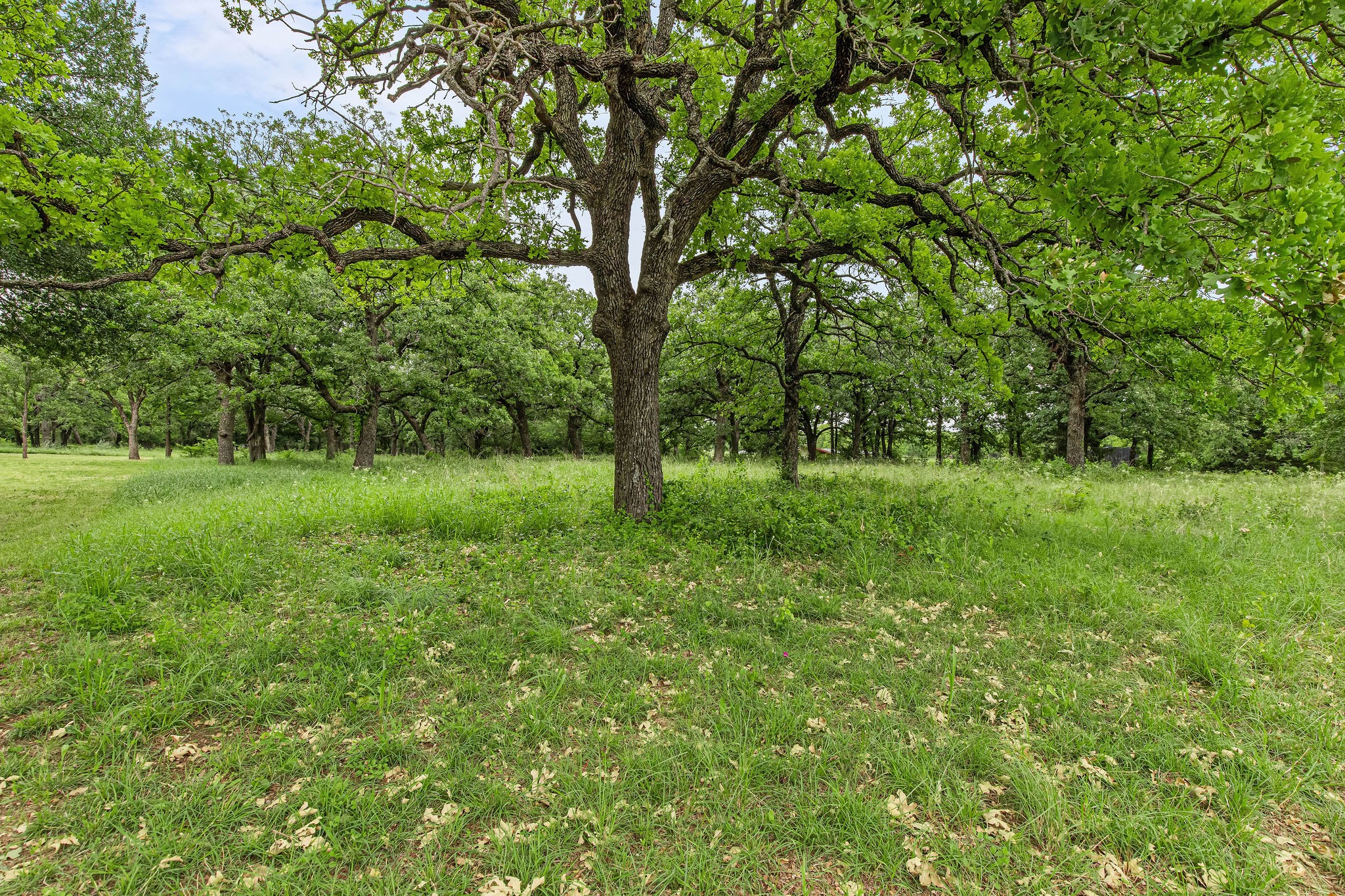 1999 Sunflower Road Paradise TX 76073