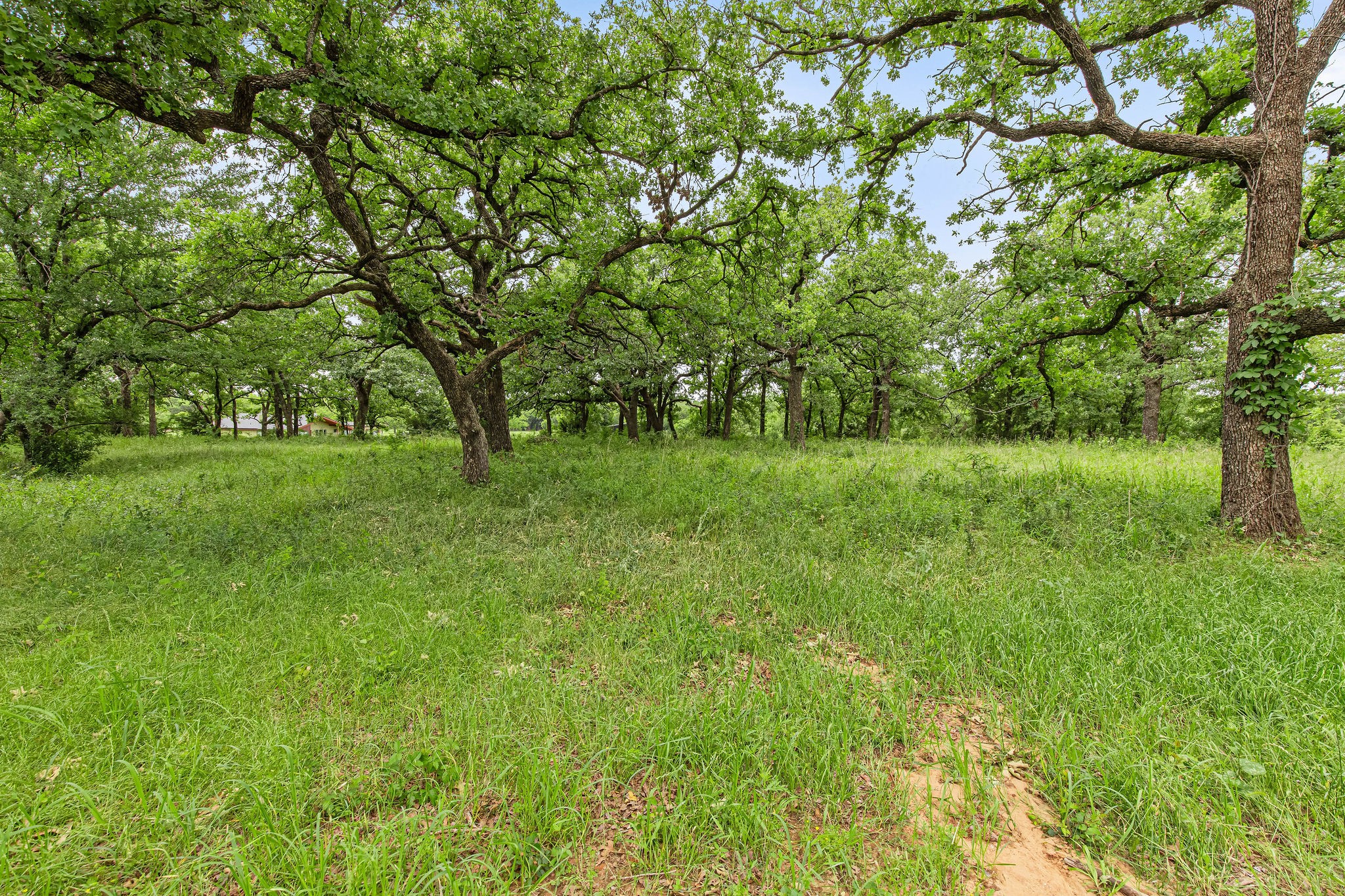 1999 Sunflower Road Paradise TX 76073