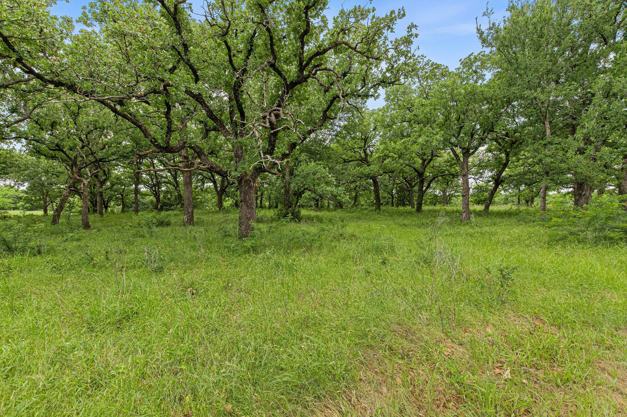 1999 Sunflower Road Paradise TX 76073