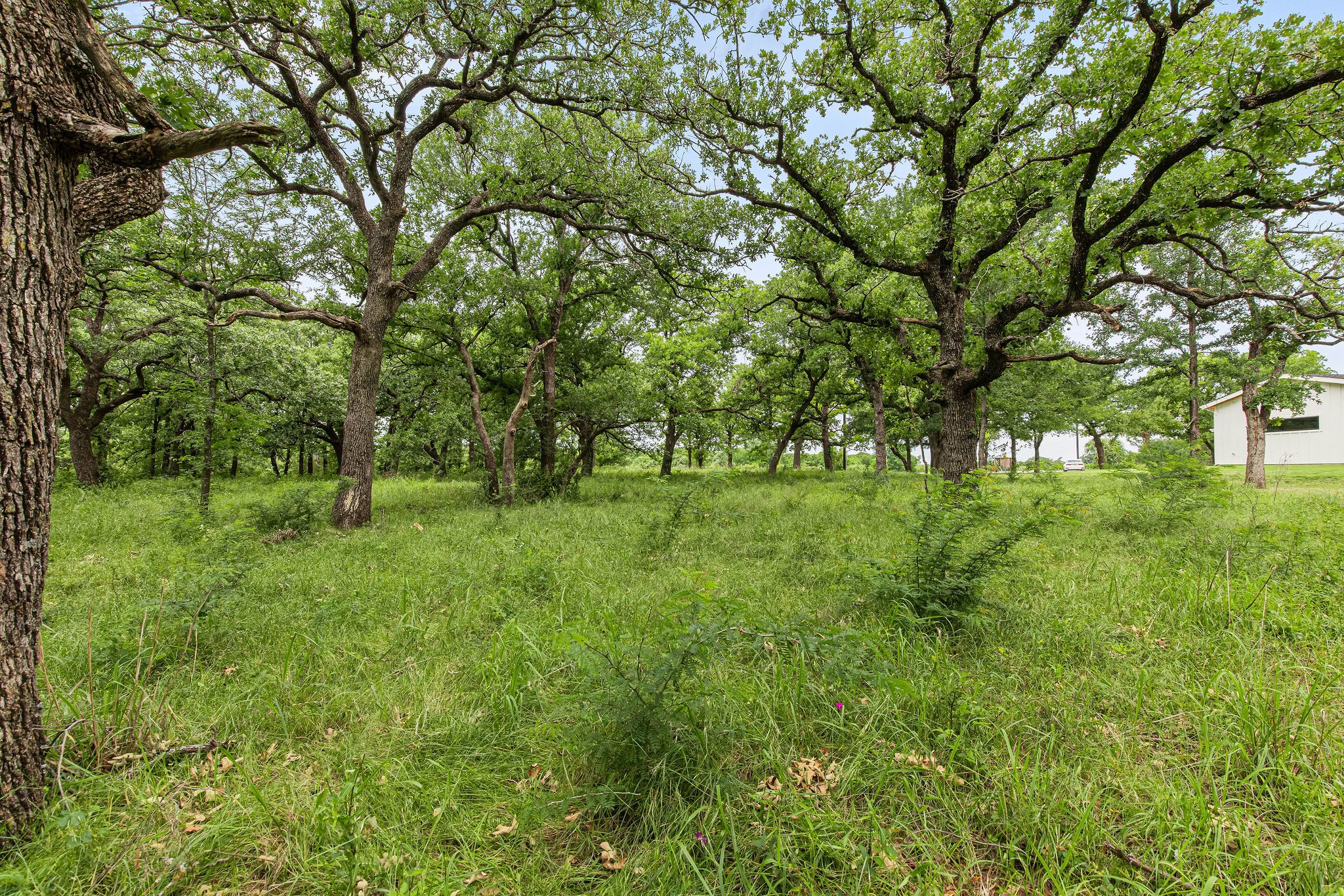 1999 Sunflower Road Paradise TX 76073